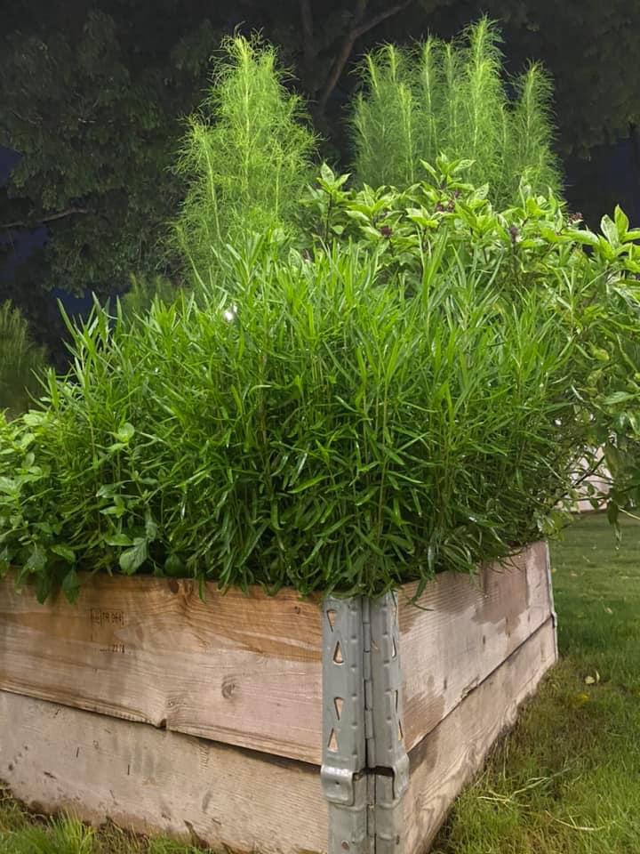 รับจัดสวน ออกแบบสวนสวย สไตล์โมเดิร์น สวนสวย งบประหยัด