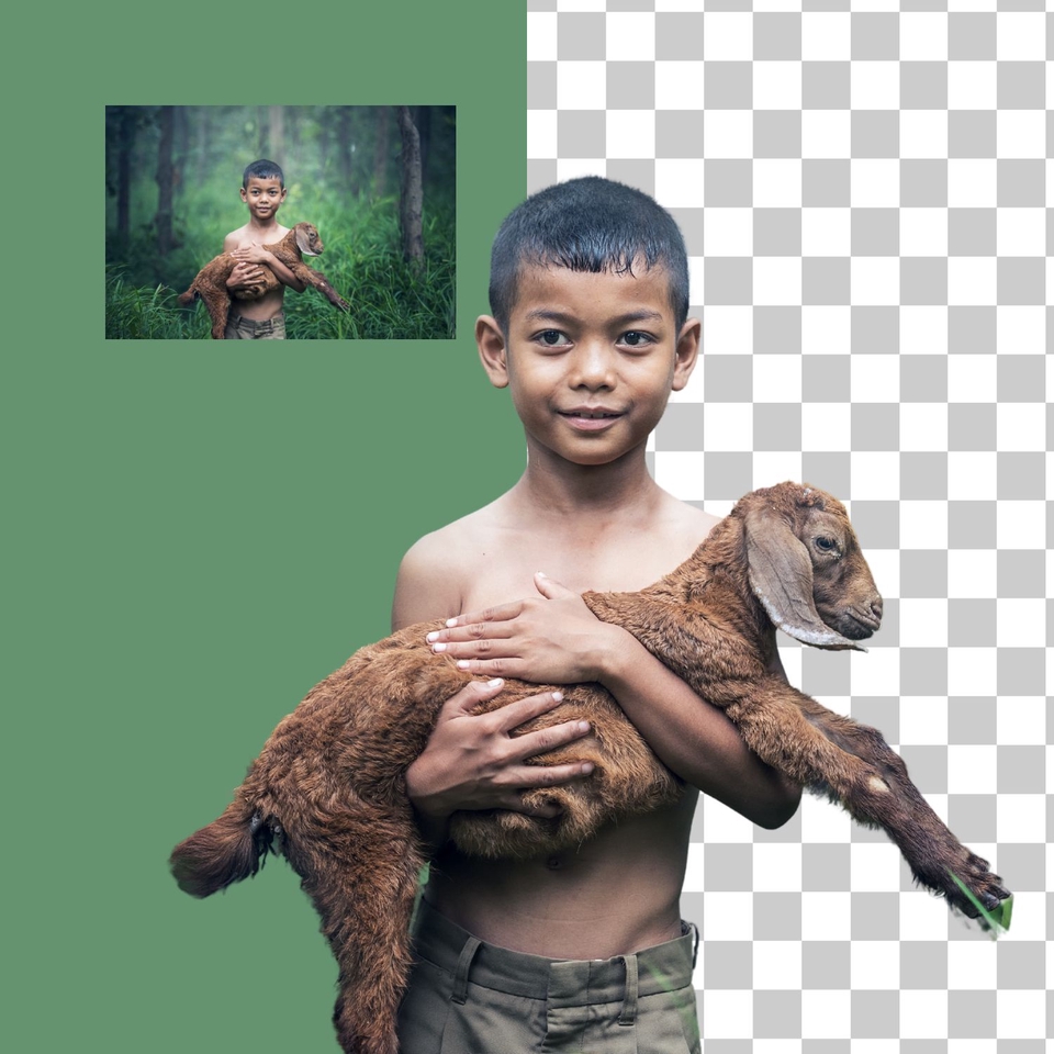 Jasa photoshop ganti background foto anak laki-laki dengan kambing
