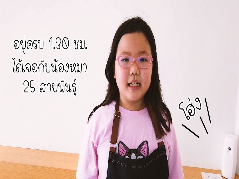 รับตัดต่อวีดีโอ งานแต่ง งานปาร์ตี้ ถ่ายวีดีโอ ตัดต่อวีดีโอ