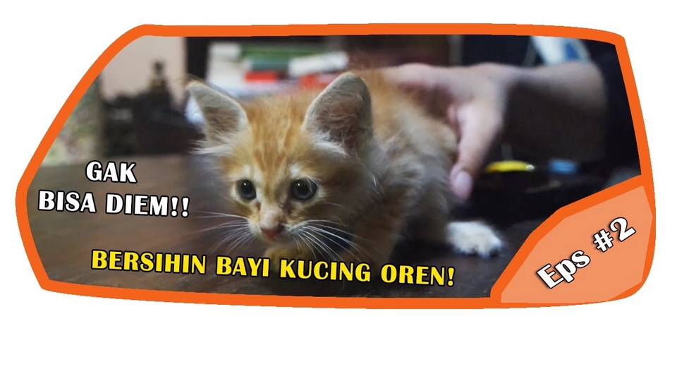 Banner Online - Desain Thumbnail Video Untuk Youtube ataupun Social Media - 5