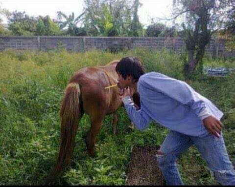 รับปรึกษาปัญหาชีวิตและครอบครัว ปรึกษาความรัก life coach ไทย