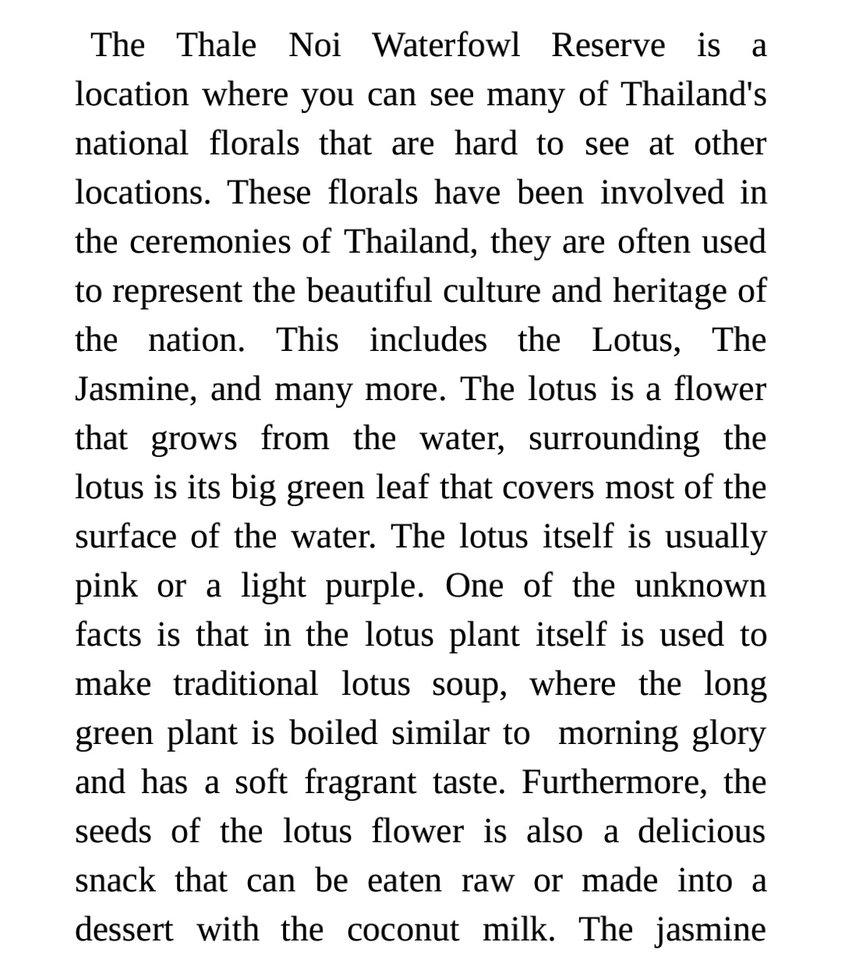 เขียนบทความ - รับเขียนบทความภาษาอังกฤษ ภาษาสวยหลักการถูกต้อง - 1