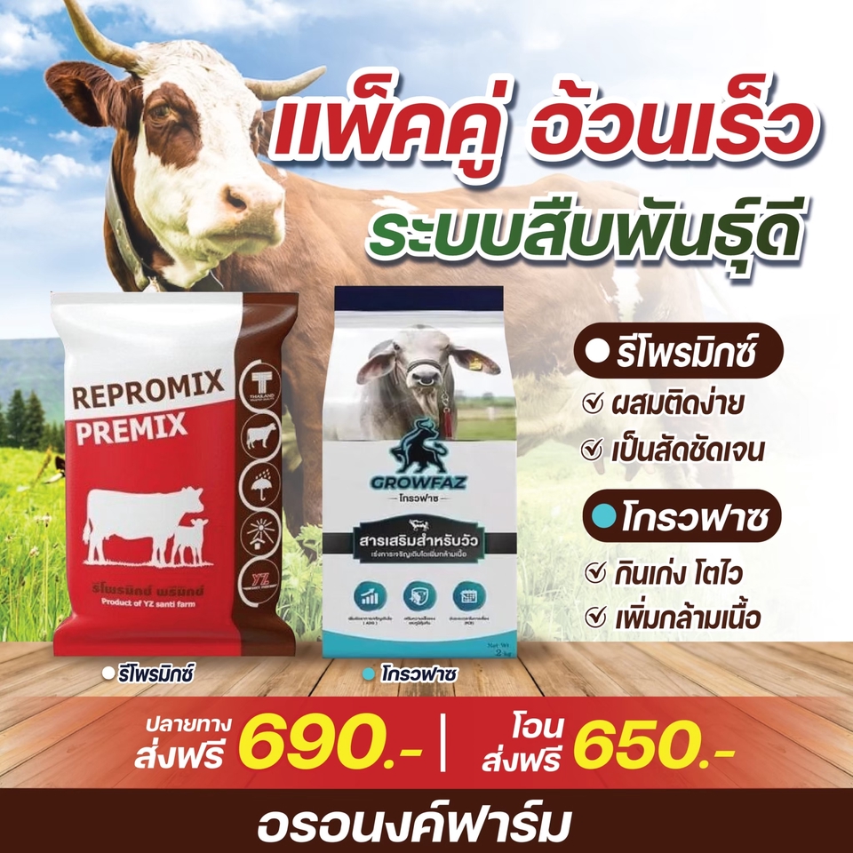 Banner โฆษณา - ฺADS โฆษณา - 6