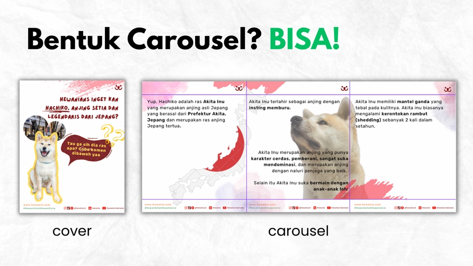 Banner Online - DESAIN CONTENT FEED,ADS,STORY INSTAGRAM - 4