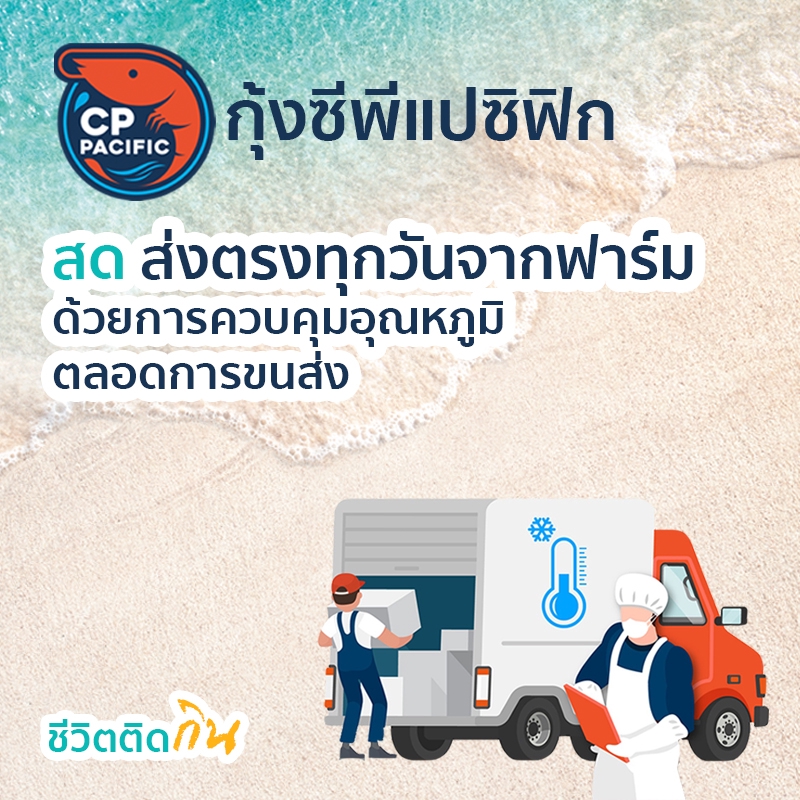 Banner โฆษณา - ออกแบบ Artwork / Banner สื่อโฆษณาออนไลน์ ออฟไลน์ ทุกชนิด - 13