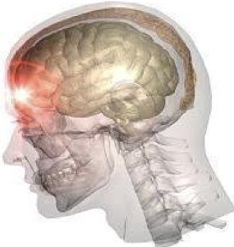 Kursus Online - Jasa kursus online private (pembelajaran materi kedokteran dan kesehatan) - 7