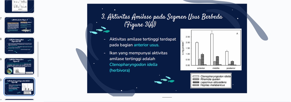 Jasa pembuatan presentasi powerpoint tentang aktivitas amilase pada segmen usus berbeda  dengan  keywords: *aktivitas amilase, segmen usus, desain presentasi, powerpoint, jasa presentasi, pembuatan presentasi*