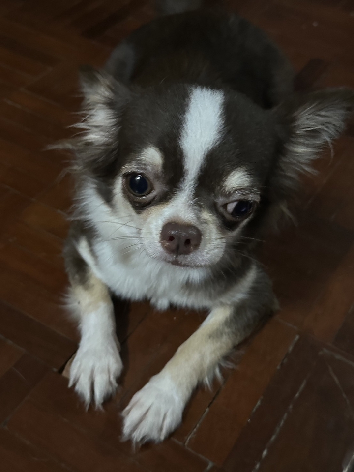 นางแบบมือสวย หานางแบบเสื้อผ้า นางแบบเสื้อผ้าแฟชั่น นางแบบเสื้อผ้าไอจี