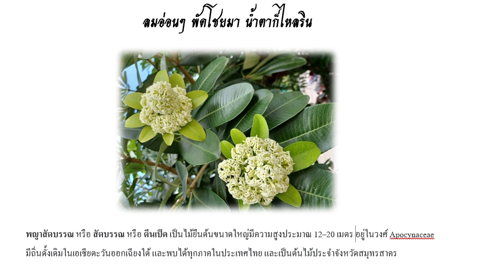 เขียนบทความ - รับเขียนบทความ - 3