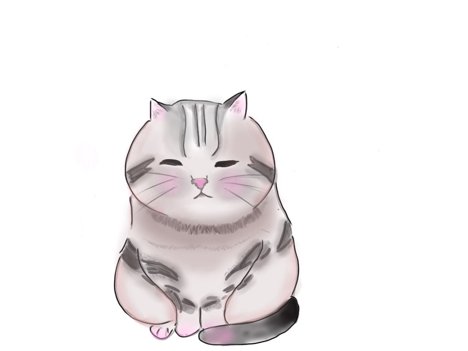 วาดภาพการ์ตูน - วาดภาพแมวลายต่างๆ - 4