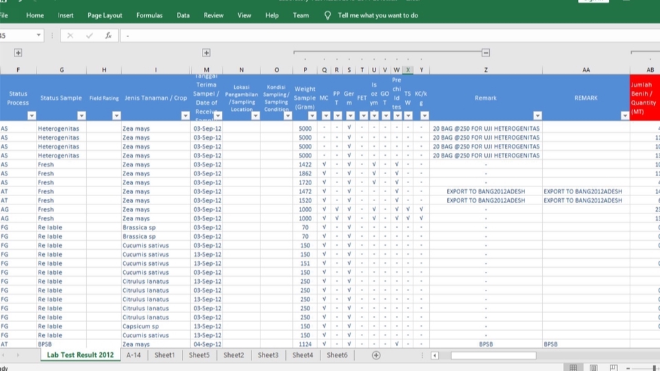 Excel Data Entry dan Analysis