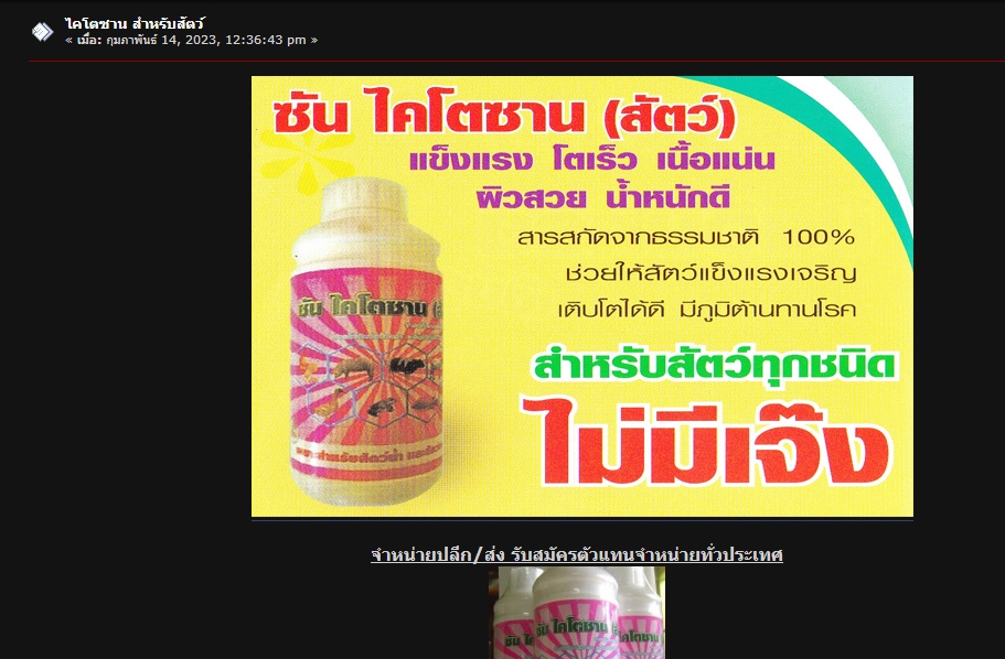 รับทำSEOเว็บไซต์ไทย เพิ่มอันดับค้นหา google ด้วยบริการSEOมืออาชีพ รับทำbacklinkคุณภาพ ราคาถูก