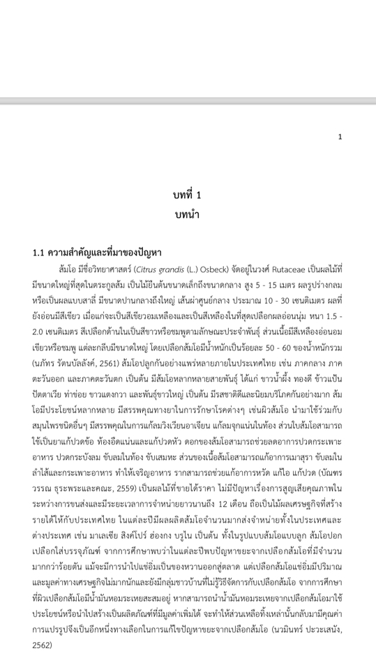 พิมพ์งาน และคีย์ข้อมูล - พิมพ์งานวิจัยและรายงานอื่นๆ - 5