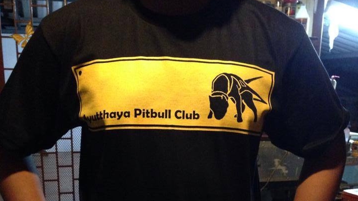 ออกแบบเสื้อยืด รับออกแบบเสื้อยืด ออกแบบเสื้อ รับออกแบบเสื้อ เสื้อยืด Ayutthaya พิตบูล