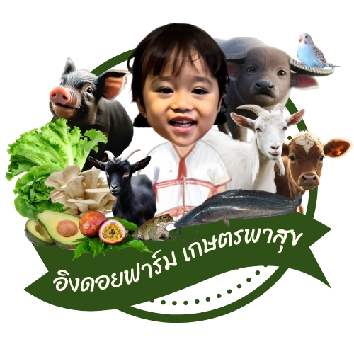 Banner โฆษณา - ออกแบบภาพ Banner /Content Online /ป้ายโฆษณา อื่นๆ - 10