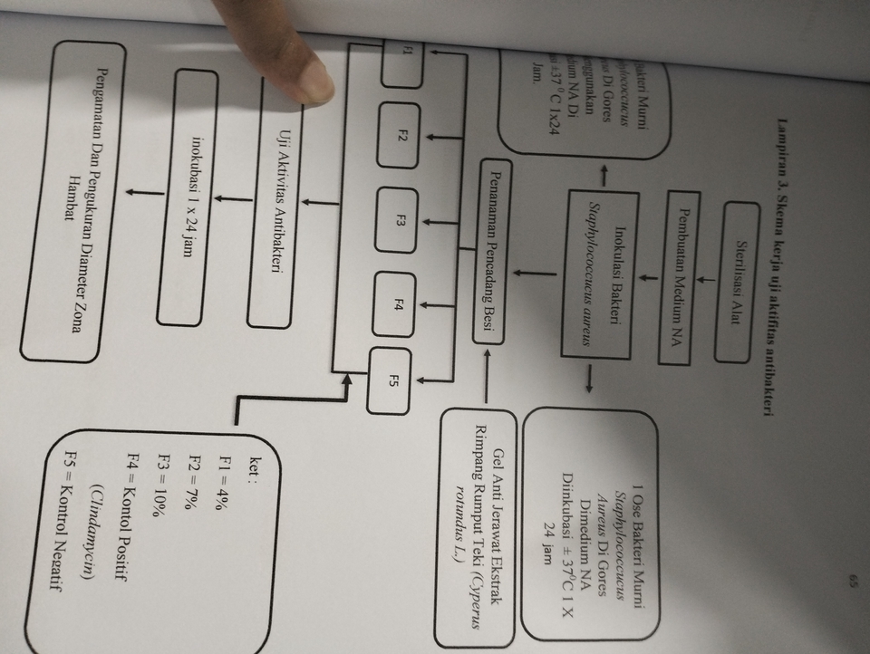 Pengetikan Umum - JASA PENGETIKAN APA SAJA - 4