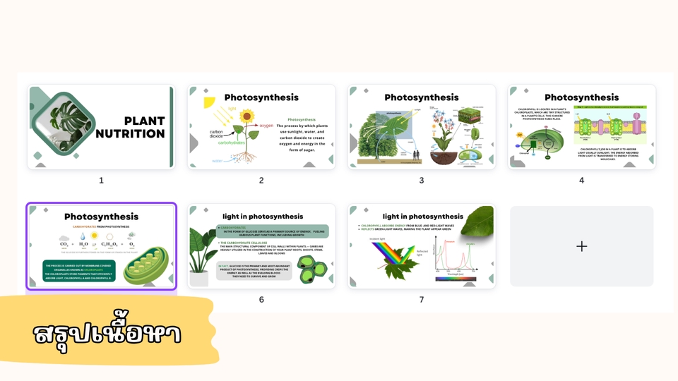 Presentation - รับทำ PRESENTATION จาก Canva Pro และ PPT ตามความต้องการ (TH/EN) - 5