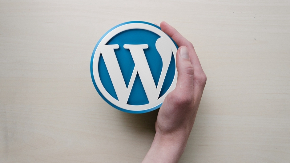Wordpress - รับแก้ไขเว็บไซต์ WordPress - 1