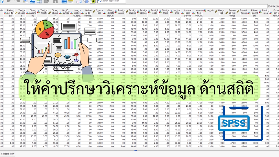 วิเคราะห์ข้อมูลสถิติ SPSS  รับวิเคราะห์ spss รับจ้างวิเคราะห์ spss ราคา