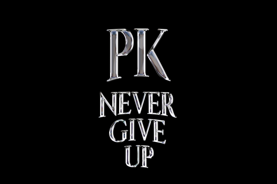 Logo - Never Give up - 3