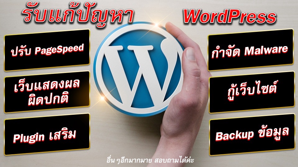 Wordpress - รับแก้ไขเว็บไซต์ WordPress - 1