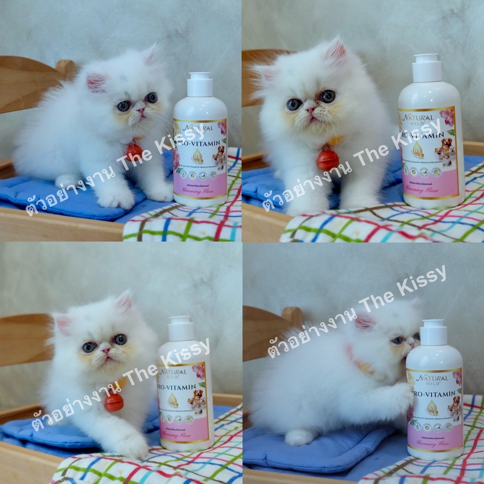 รับรีวิวสินค้า บล็อกเกอร์รีวิว บล็อกเกอร์รีวิวสินค้า เน็ตไอดอลรีวิว รีวิวสินค้า รีวิวอาหาร