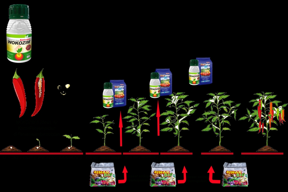 Banner Online - Banner Pestisida Online - 10