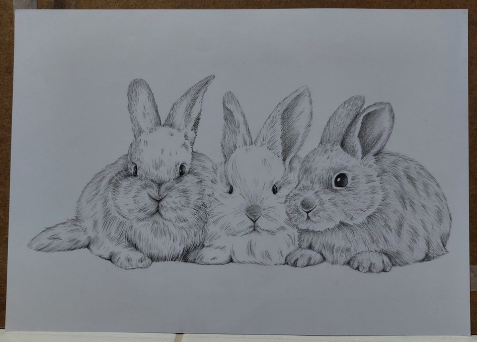 วาดภาพเหมือน Portrait - รับวาดภาพเหมือน(คน/สัตว์) - 20