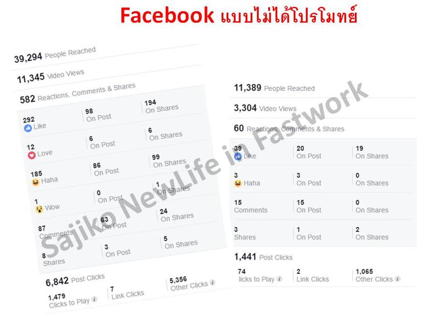 เขียนรีวิว - โฆษณา&รีวิว สินค้า "แมว" เหมือนการบอกต่อ - 4
