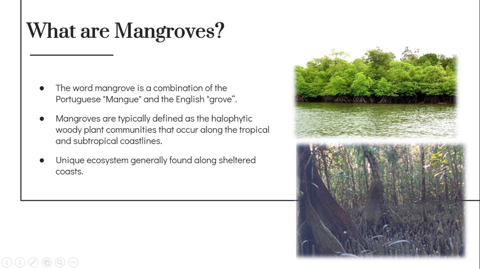 Penerjemahan - Penerjemah Profesional (English-Indonesian/Indonesian-English) - 5