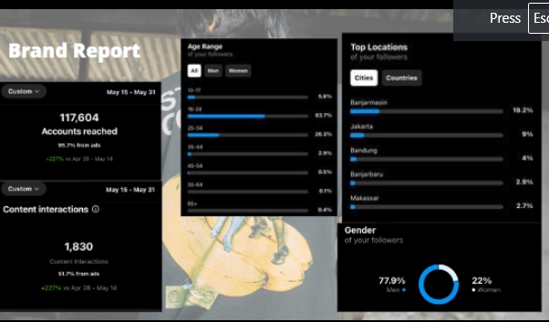 Digital Marketing - Social Media Marketing/Handle Instagram - 3