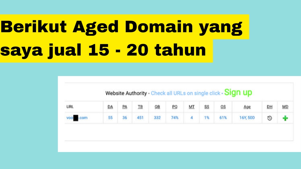 Digital Marketing - Jual Jasa Aged dan Expired Domain High DA PA - 4