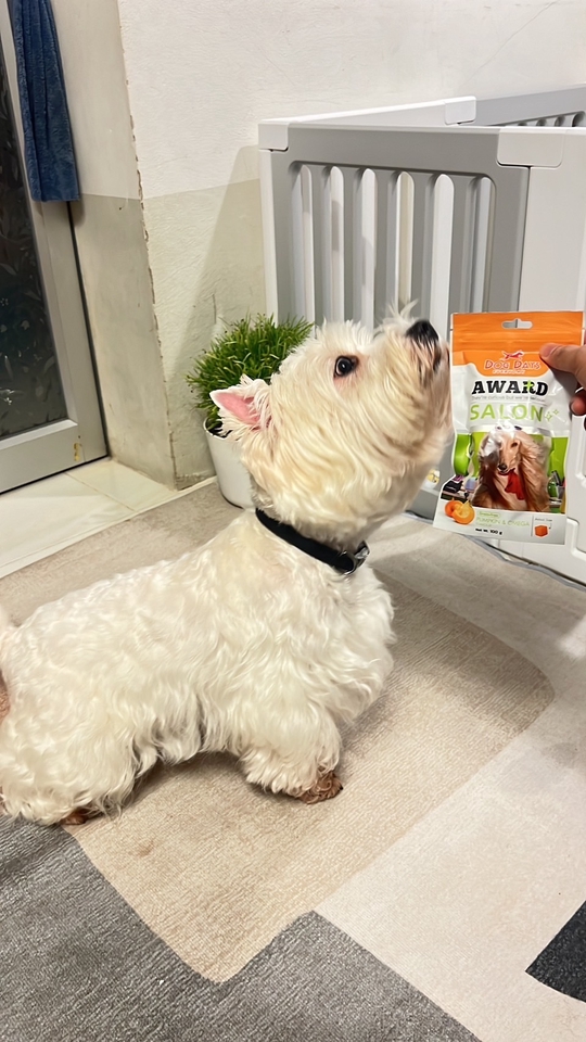 เน็ตไอดอลและบล็อกเกอร์รีวิว - รับรีวิวสินค้าและอาหารสัตว์เลี้ยง - 18