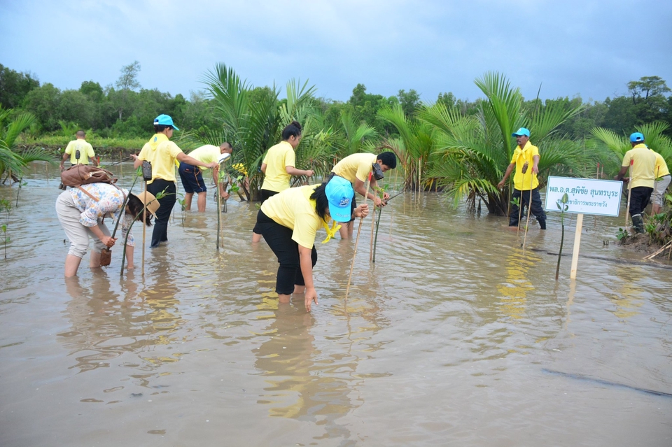 Photography - รับงานถ่ายภาพ งานวิ่ง ฟุตบอล กีฬา หรือ พิธีต่างๆ - 8