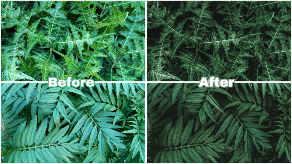 ไดคัท & Photoshop - รับแต่งรูปภาพ ปรับสี ปรับแสง ปรับโทน - 4