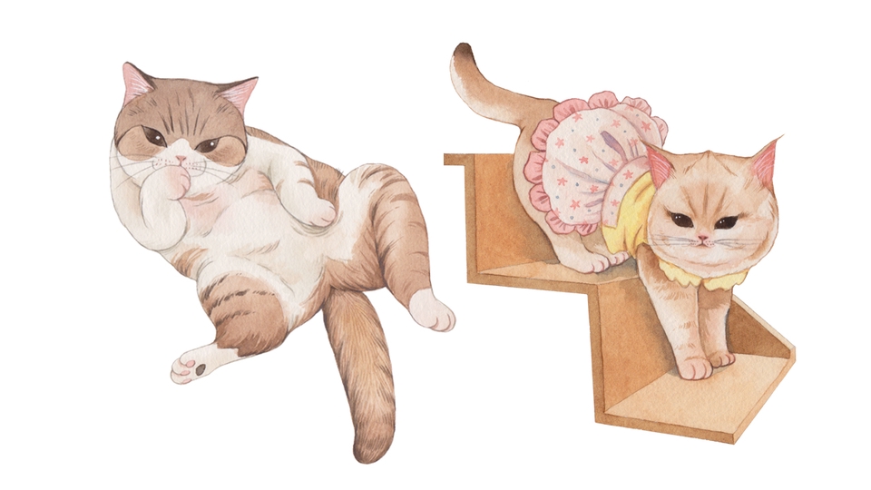 วาดภาพประกอบ - วาดภาพประกอบสีน้ำ ภาพวิวทิวทัศน์ สัตว์เลี้ยง ดอกไม้ - 2
