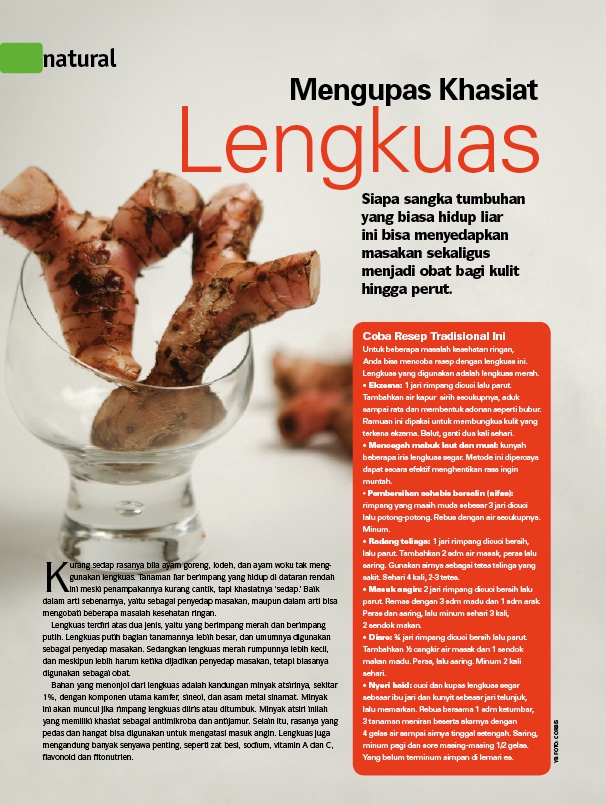 Digital Printing - desain banner, brosur, spanduk promo produk - 7