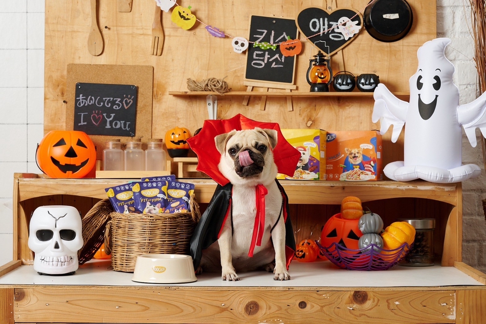 นางแบบมือ มือสวย นางแบบเสื้อผ้า หานางแบบ นายแบบ หานายแบบ ถ่ายรูปกับสุนัข