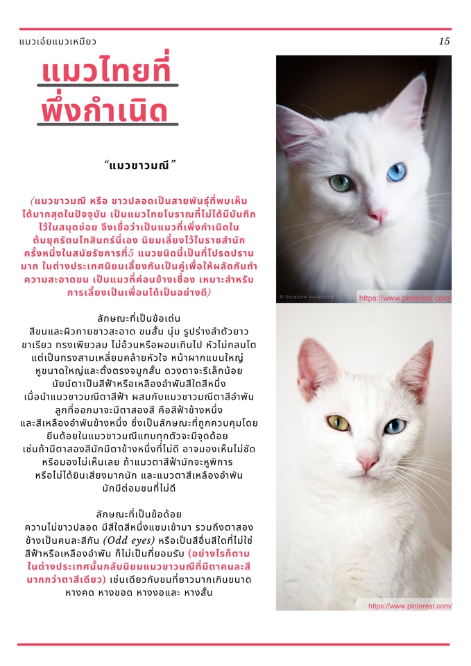 รับพิมพ์งาน รับพิมพ์งานทั่วไป พิมพ์รายงาน พิมพ์งานด่วน รับคีย์ข้อมูล พิมพ์งานเอกสาร งานคีย์ข้อมูล