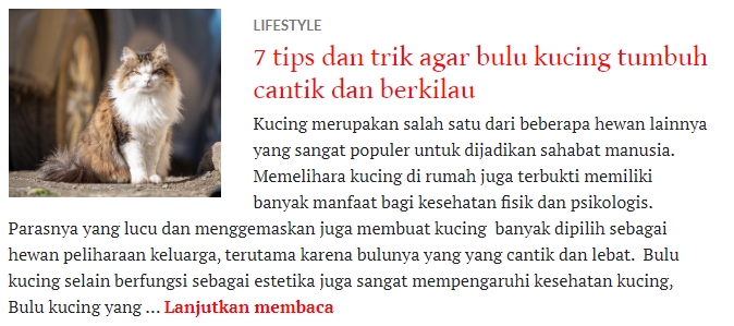 Penulisan Konten - CONTENT WRITING ( Konten blog / Website / Media Sosial) Garansi/jaminan kepuasan konsumen - 4