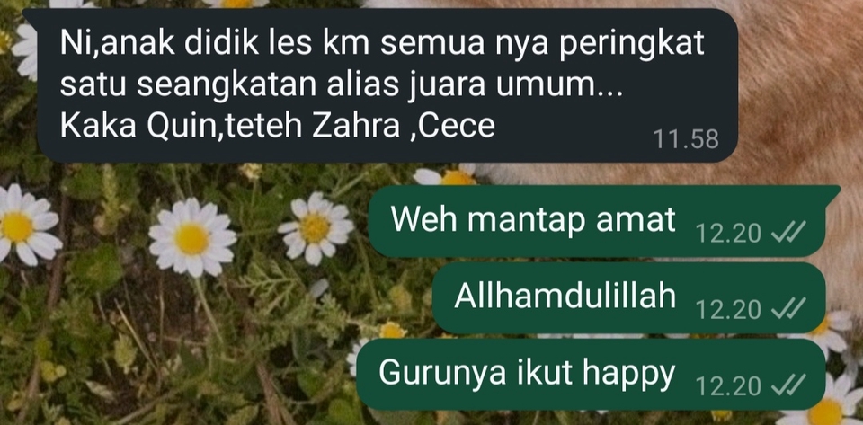 Belajar bahasa Inggris online untuk anak, bimbel online, kursus bahasa Inggris online terbaik, guru privat bahasa Inggris.