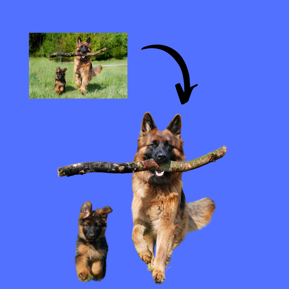 Jasa edit foto online, hapus background, ganti background, edit foto wedding, edit foto prawedding, edit foto produk.