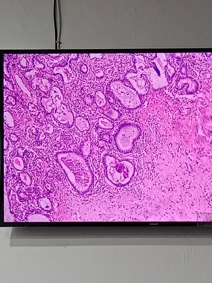 Kursus Online - Jasa kursus online private (pembelajaran materi kedokteran dan kesehatan) - 5