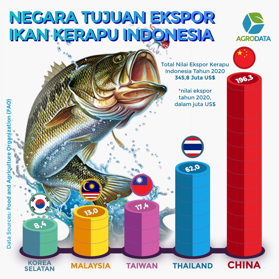 Infografis - Data Bercerita! Desain infografis +bonus copywriting - 27