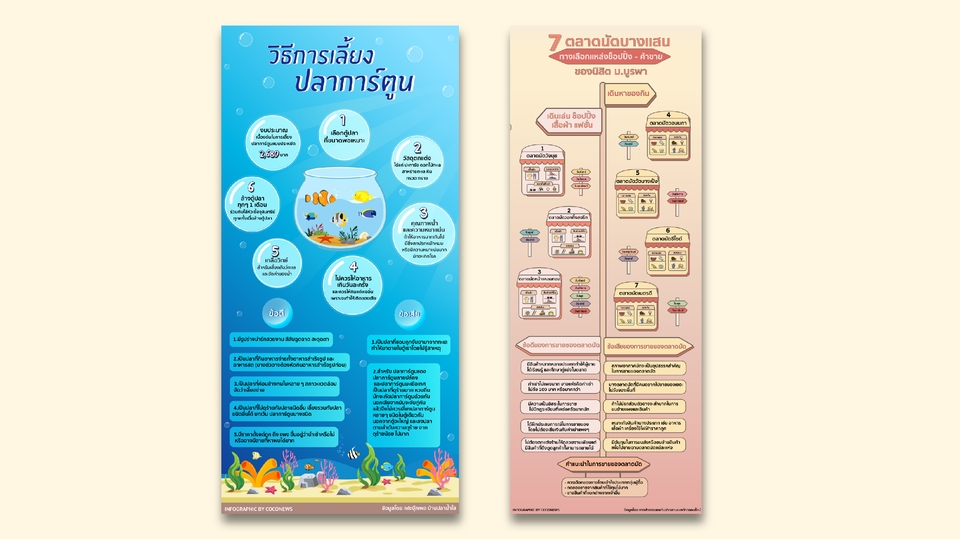 Infographics - รับออกแบบ Infographic - 6