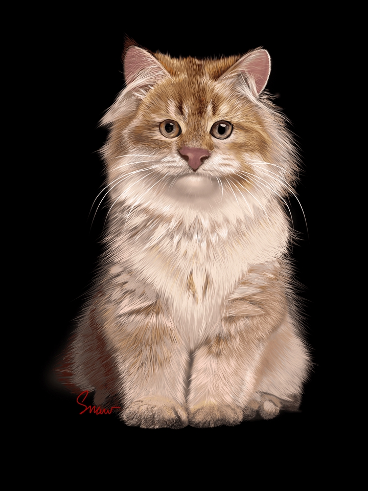 Gambar dan Ilustrasi - Ilustrasi hewan peliharaan Anda menjadi gambar super realistis - 3