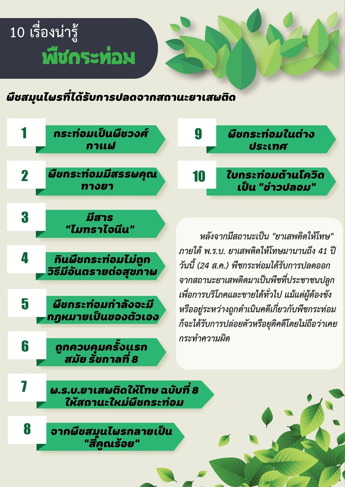 Infographics - รับออกแบบ Infographic แบบง่าย ถายใน1 วัน ราคาถูก - 5