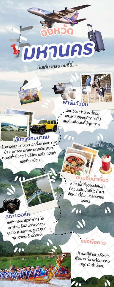 Infographics - Infographic  - 3