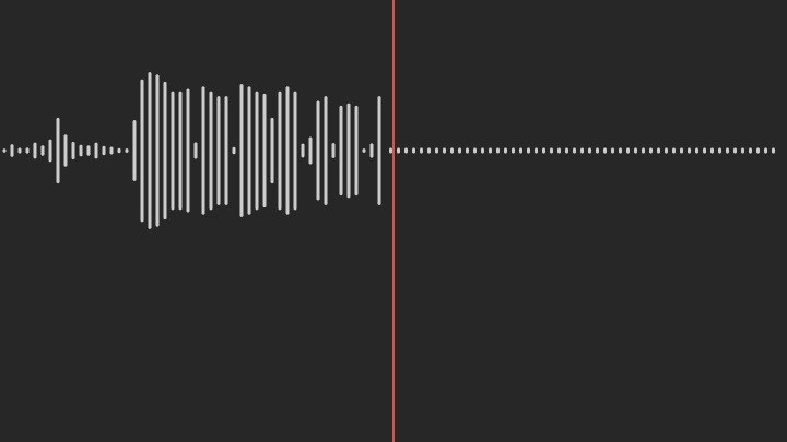 Sulih suara (dubbing, looping) - Dubbing, voice over untuk video resmi - 1