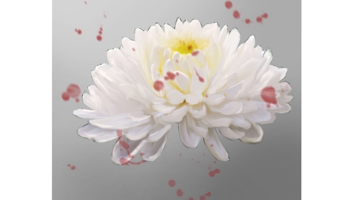วาดภาพประกอบ - ภาพประกอบ สัตว์เลี้ยง ดอกไม้ธรรมชาติ หุ่นนิ่ง - 5